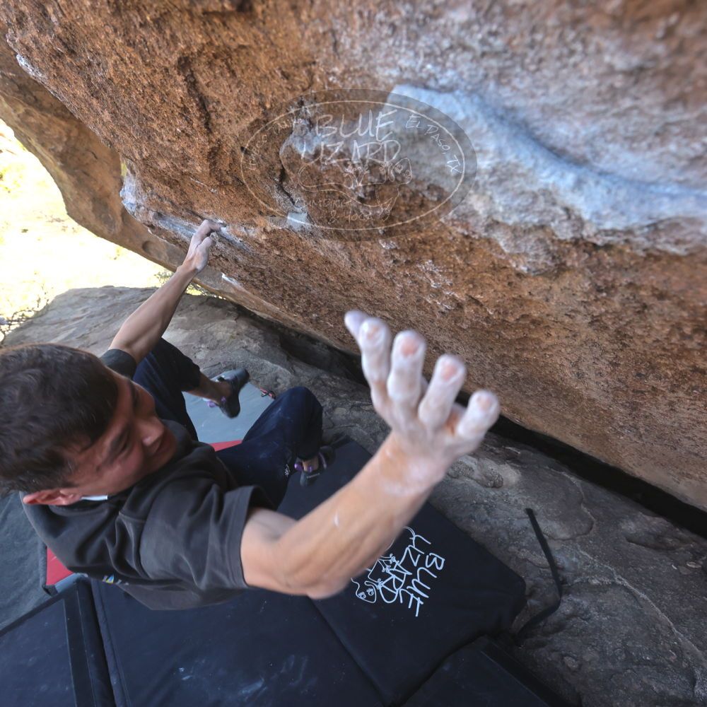 

Filename: SRM_20260328_1416542.jpg
Aperture: f/5.6
Shutter Speed: 1/640
Body: Canon EOS R6
Lens: Canon EF 16-35mm f/2.8 L