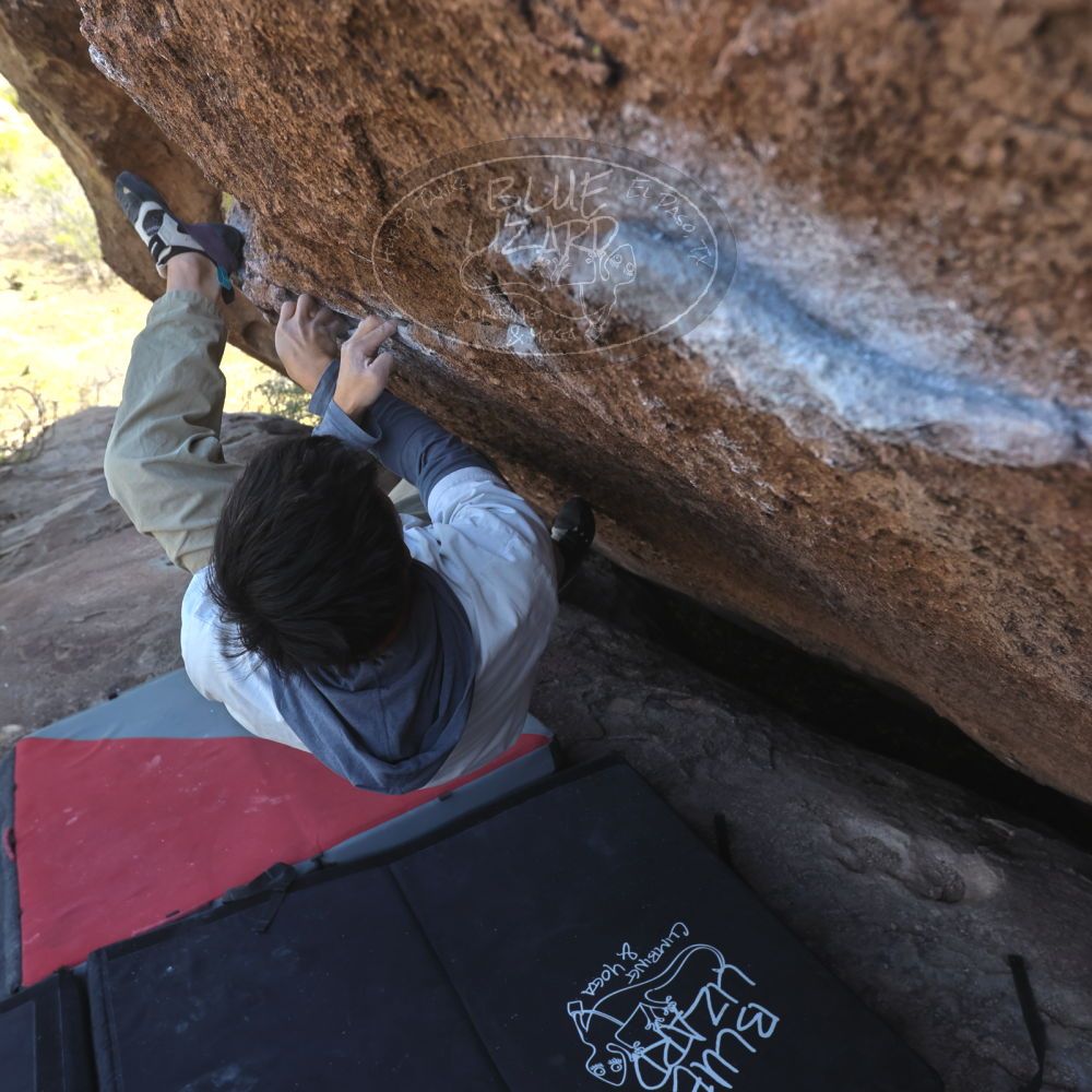 

Filename: SRM_20260328_1427480.jpg
Aperture: f/5.6
Shutter Speed: 1/640
Body: Canon EOS R6
Lens: Canon EF 16-35mm f/2.8 L