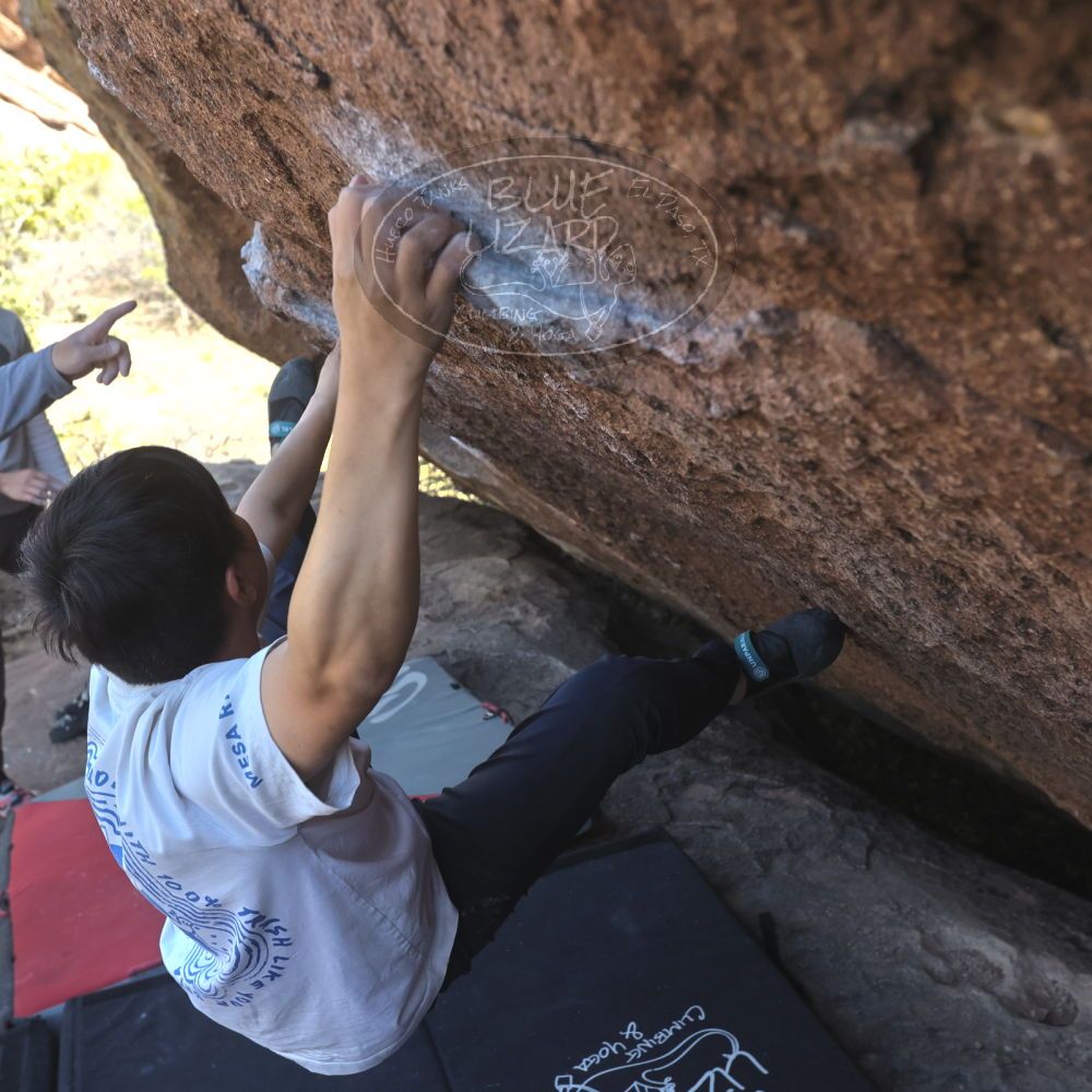 

Filename: SRM_20260328_1438430.jpg
Aperture: f/5.6
Shutter Speed: 1/640
Body: Canon EOS R6
Lens: Canon EF 16-35mm f/2.8 L