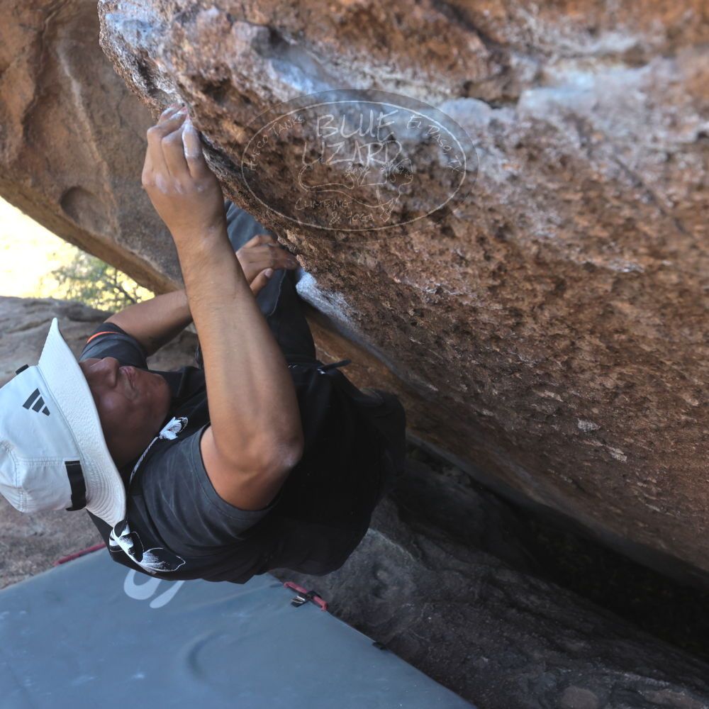 

Filename: SRM_20260328_1442470.jpg
Aperture: f/5.6
Shutter Speed: 1/640
Body: Canon EOS R6
Lens: Canon EF 16-35mm f/2.8 L