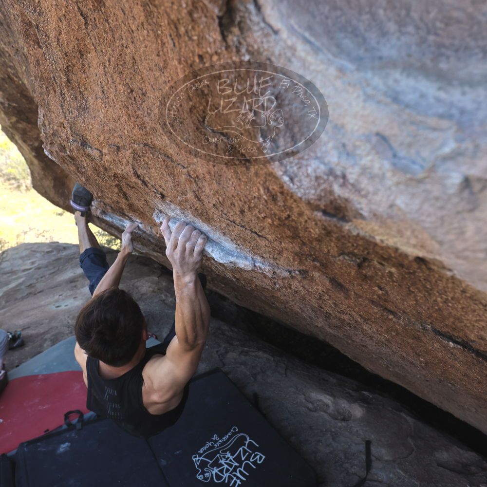 

Filename: SRM_20260328_1445241.jpg
Aperture: f/5.6
Shutter Speed: 1/640
Body: Canon EOS R6
Lens: Canon EF 16-35mm f/2.8 L