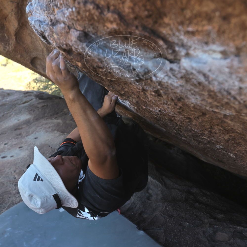 

Filename: SRM_20260328_1449500.jpg
Aperture: f/5.6
Shutter Speed: 1/640
Body: Canon EOS R6
Lens: Canon EF 16-35mm f/2.8 L