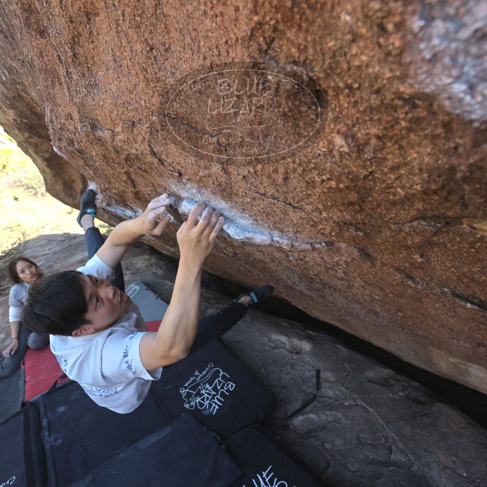 

Filename: SRM_20260328_1455320.jpg
Aperture: f/5.6
Shutter Speed: 1/640
Body: Canon EOS R6
Lens: Canon EF 16-35mm f/2.8 L