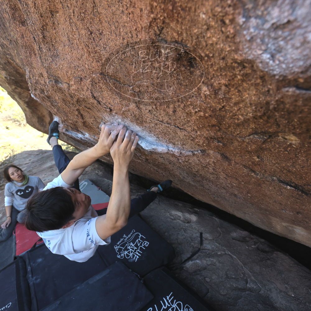 

Filename: SRM_20260328_1455321.jpg
Aperture: f/5.6
Shutter Speed: 1/640
Body: Canon EOS R6
Lens: Canon EF 16-35mm f/2.8 L