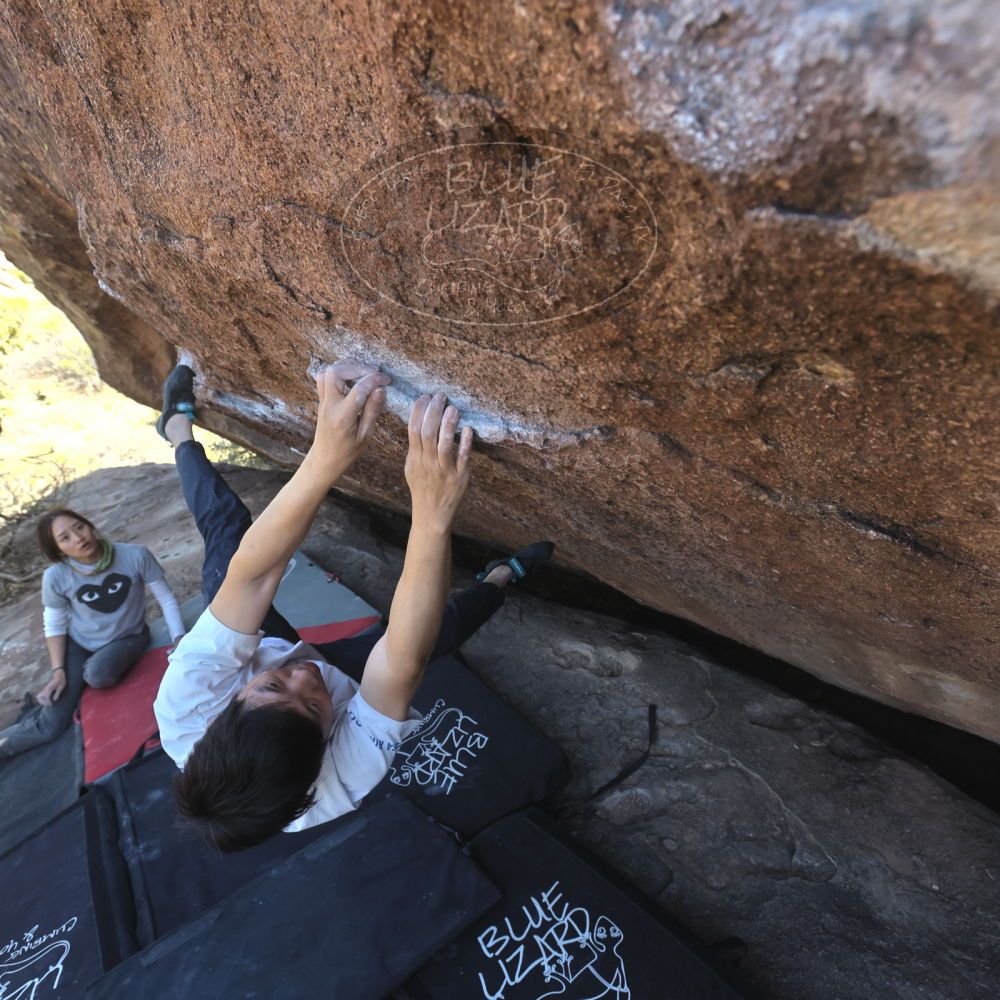 

Filename: SRM_20260328_1455340.jpg
Aperture: f/5.6
Shutter Speed: 1/640
Body: Canon EOS R6
Lens: Canon EF 16-35mm f/2.8 L