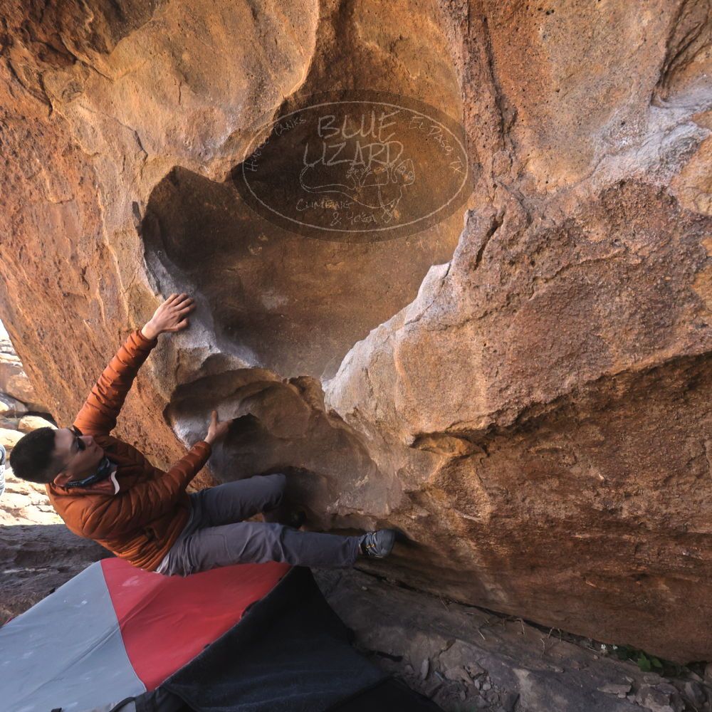 

Filename: SRM_20260328_1030391.jpg
Aperture: f/8.0
Shutter Speed: 1/1000
Body: Canon EOS R6
Lens: Canon EF 16-35mm f/2.8 L