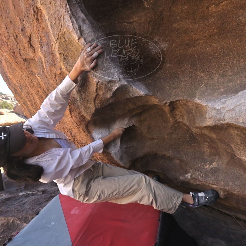 

Filename: SRM_20260328_1033460.jpg
Aperture: f/8.0
Shutter Speed: 1/1000
Body: Canon EOS R6
Lens: Canon EF 16-35mm f/2.8 L