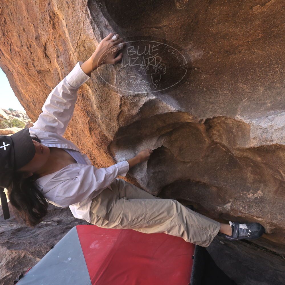 

Filename: SRM_20260328_1033461.jpg
Aperture: f/8.0
Shutter Speed: 1/1000
Body: Canon EOS R6
Lens: Canon EF 16-35mm f/2.8 L