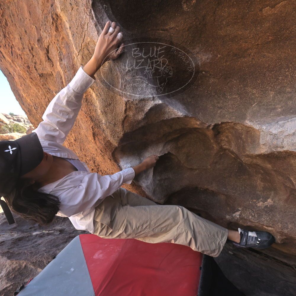 

Filename: SRM_20260328_1033462.jpg
Aperture: f/8.0
Shutter Speed: 1/1000
Body: Canon EOS R6
Lens: Canon EF 16-35mm f/2.8 L