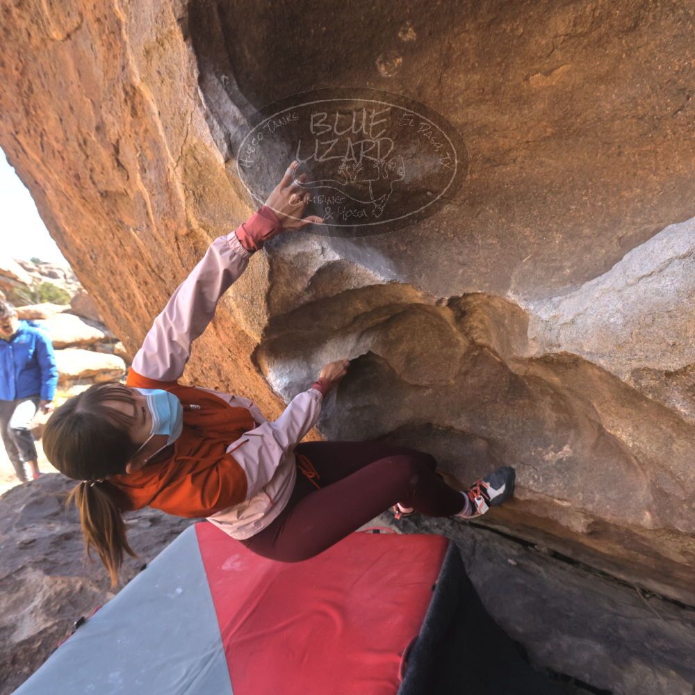 

Filename: SRM_20260328_1037121.jpg
Aperture: f/8.0
Shutter Speed: 1/1000
Body: Canon EOS R6
Lens: Canon EF 16-35mm f/2.8 L