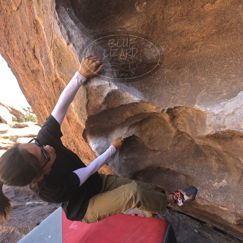 

Filename: SRM_20260328_1041140.jpg
Aperture: f/8.0
Shutter Speed: 1/1000
Body: Canon EOS R6
Lens: Canon EF 16-35mm f/2.8 L