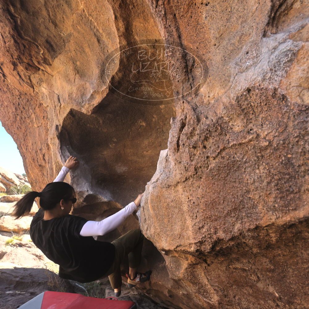 

Filename: SRM_20260328_1041190.jpg
Aperture: f/8.0
Shutter Speed: 1/1000
Body: Canon EOS R6
Lens: Canon EF 16-35mm f/2.8 L