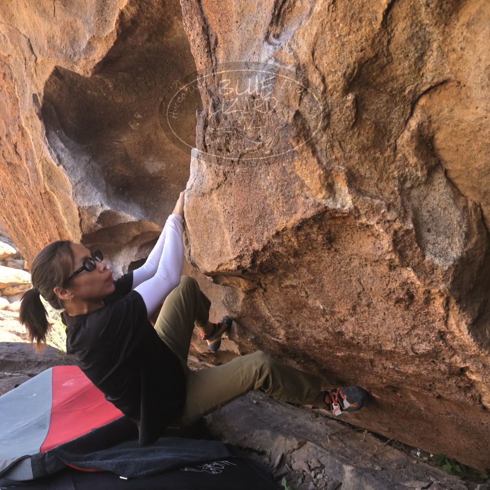 

Filename: SRM_20260328_1041260.jpg
Aperture: f/8.0
Shutter Speed: 1/1000
Body: Canon EOS R6
Lens: Canon EF 16-35mm f/2.8 L