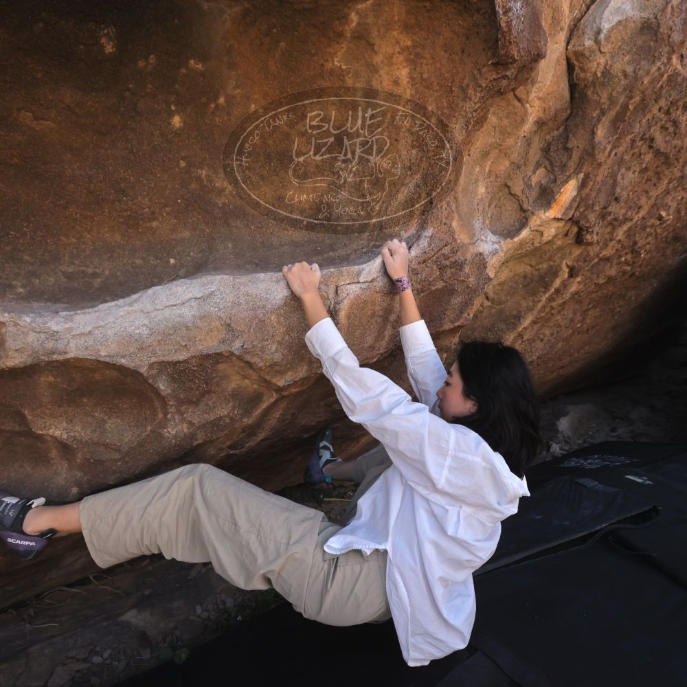 

Filename: SRM_20260328_1046010.jpg
Aperture: f/8.0
Shutter Speed: 1/1000
Body: Canon EOS R6
Lens: Canon EF 16-35mm f/2.8 L