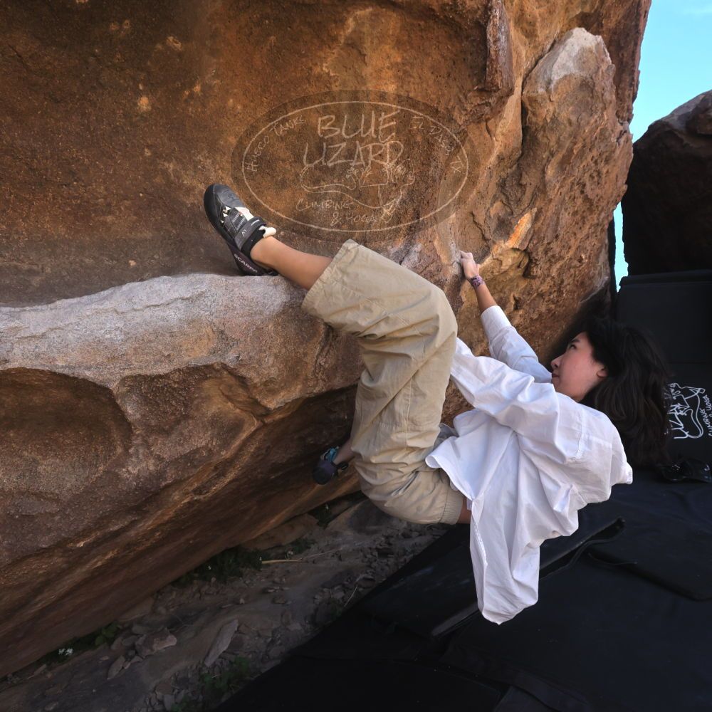 

Filename: SRM_20260328_1046110.jpg
Aperture: f/8.0
Shutter Speed: 1/1000
Body: Canon EOS R6
Lens: Canon EF 16-35mm f/2.8 L