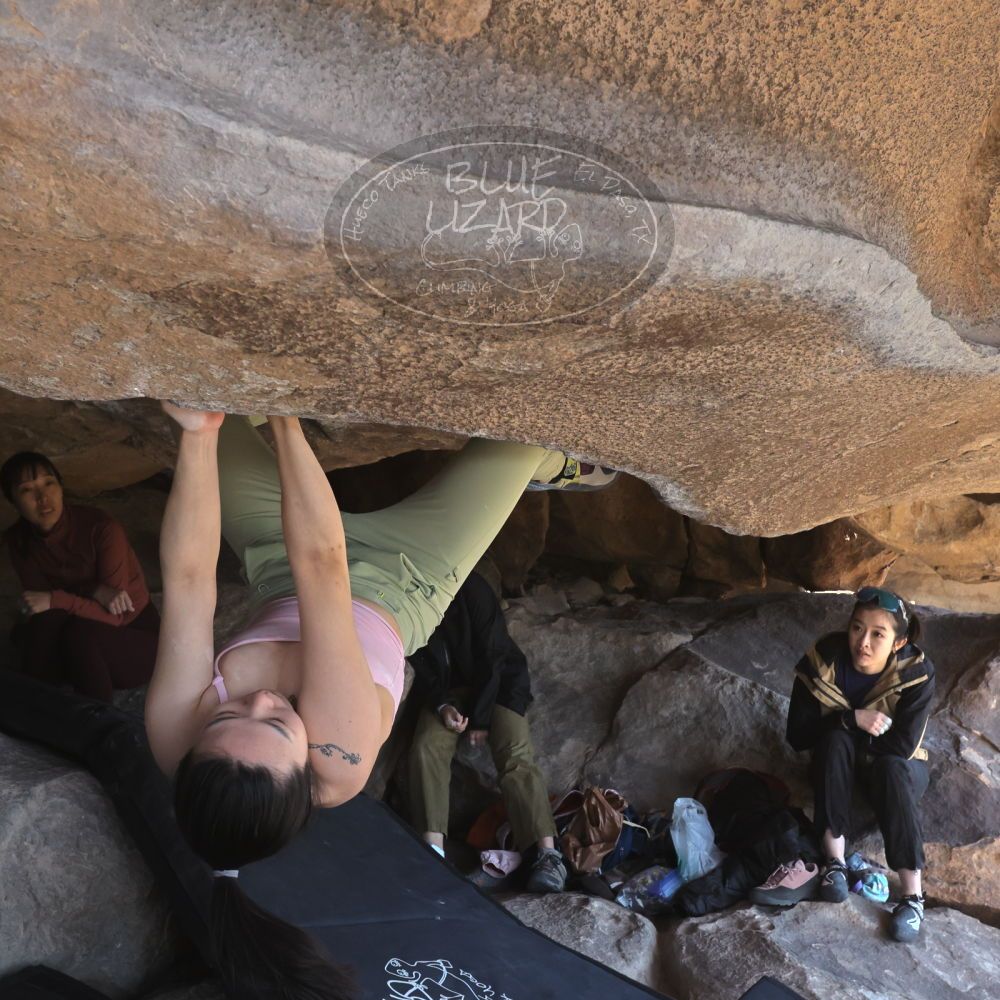 

Filename: SRM_20260328_1123301.jpg
Aperture: f/8.0
Shutter Speed: 1/1000
Body: Canon EOS R6
Lens: Canon EF 16-35mm f/2.8 L