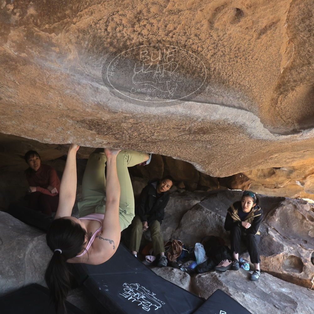 

Filename: SRM_20260328_1123400.jpg
Aperture: f/8.0
Shutter Speed: 1/1000
Body: Canon EOS R6
Lens: Canon EF 16-35mm f/2.8 L