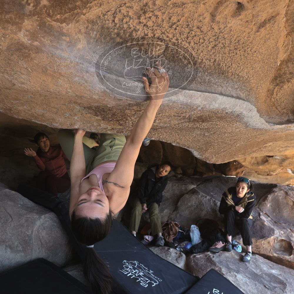 

Filename: SRM_20260328_1123430.jpg
Aperture: f/8.0
Shutter Speed: 1/1000
Body: Canon EOS R6
Lens: Canon EF 16-35mm f/2.8 L