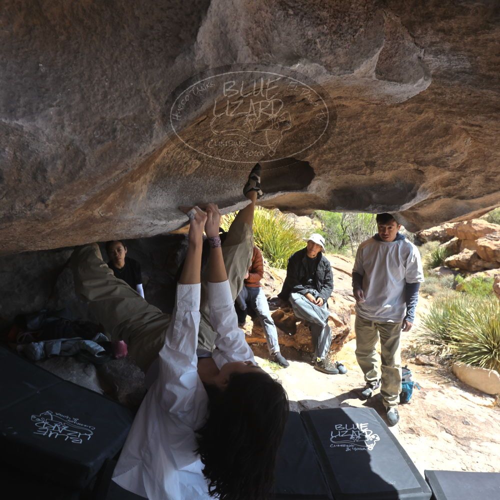 

Filename: SRM_20260328_1132110.jpg
Aperture: f/8.0
Shutter Speed: 1/1000
Body: Canon EOS R6
Lens: Canon EF 16-35mm f/2.8 L