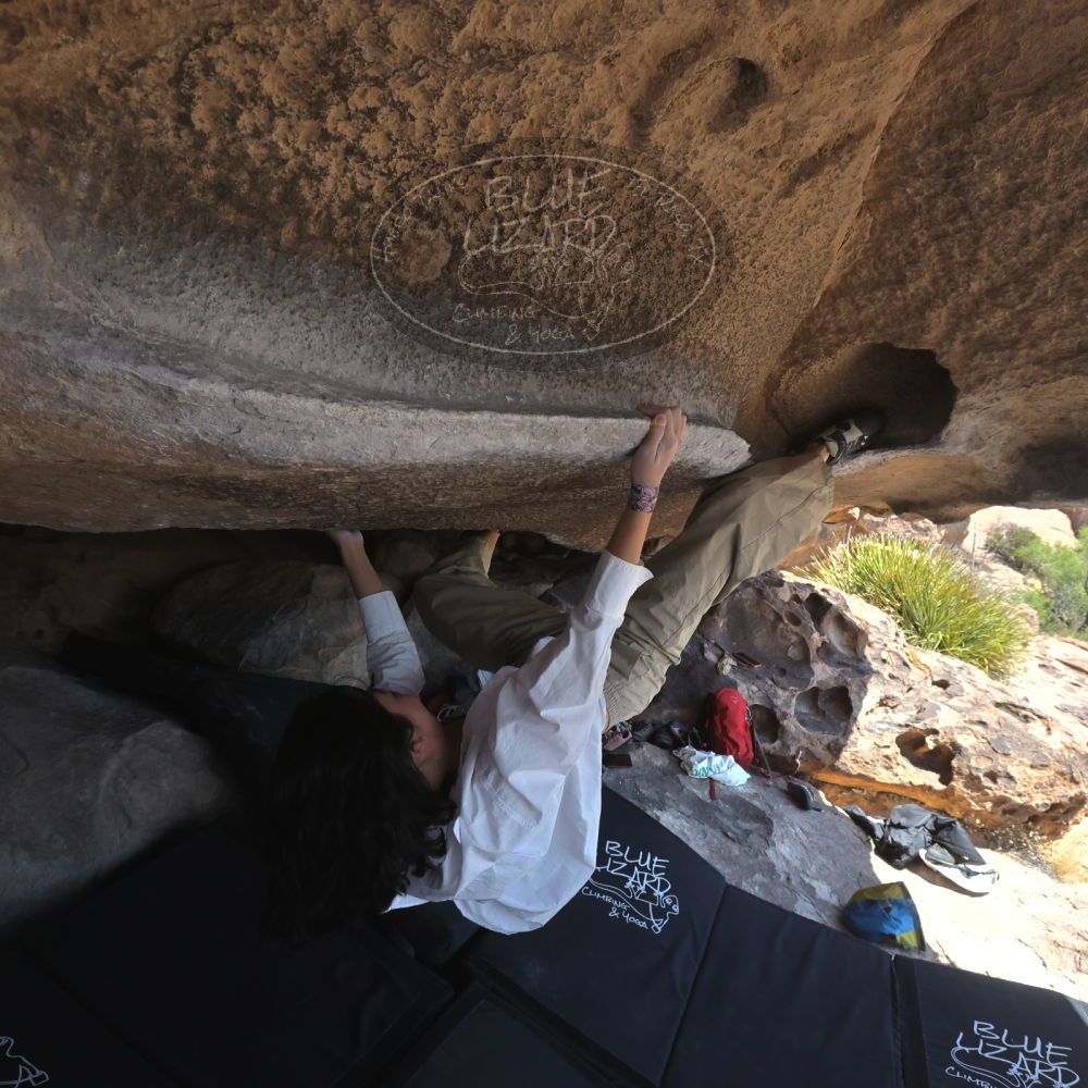 

Filename: SRM_20260328_1144290.jpg
Aperture: f/8.0
Shutter Speed: 1/1000
Body: Canon EOS R6
Lens: Canon EF 16-35mm f/2.8 L