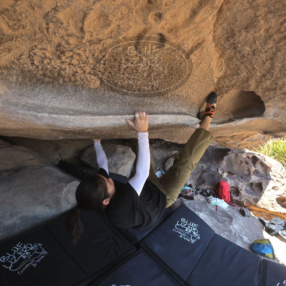 

Filename: SRM_20260328_1145230.jpg
Aperture: f/8.0
Shutter Speed: 1/1000
Body: Canon EOS R6
Lens: Canon EF 16-35mm f/2.8 L