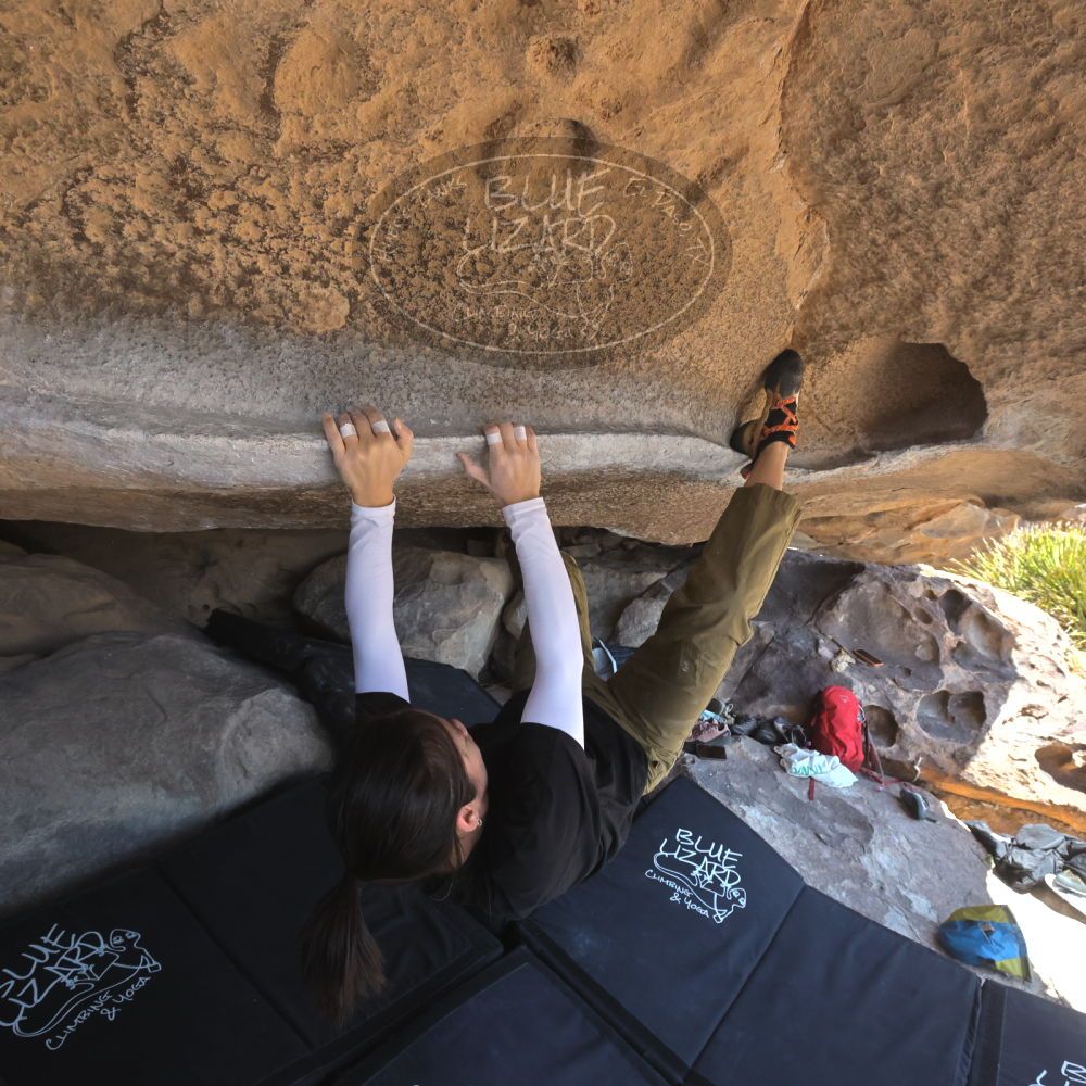 

Filename: SRM_20260328_1145250.jpg
Aperture: f/8.0
Shutter Speed: 1/1000
Body: Canon EOS R6
Lens: Canon EF 16-35mm f/2.8 L