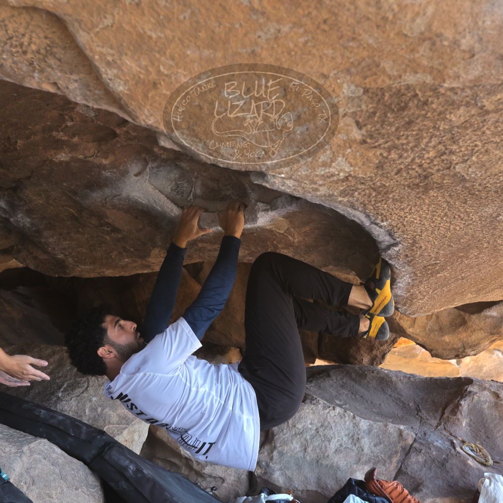 

Filename: SRM_20260328_1218390.jpg
Aperture: f/5.6
Shutter Speed: 1/640
Body: Canon EOS R6
Lens: Canon EF 16-35mm f/2.8 L