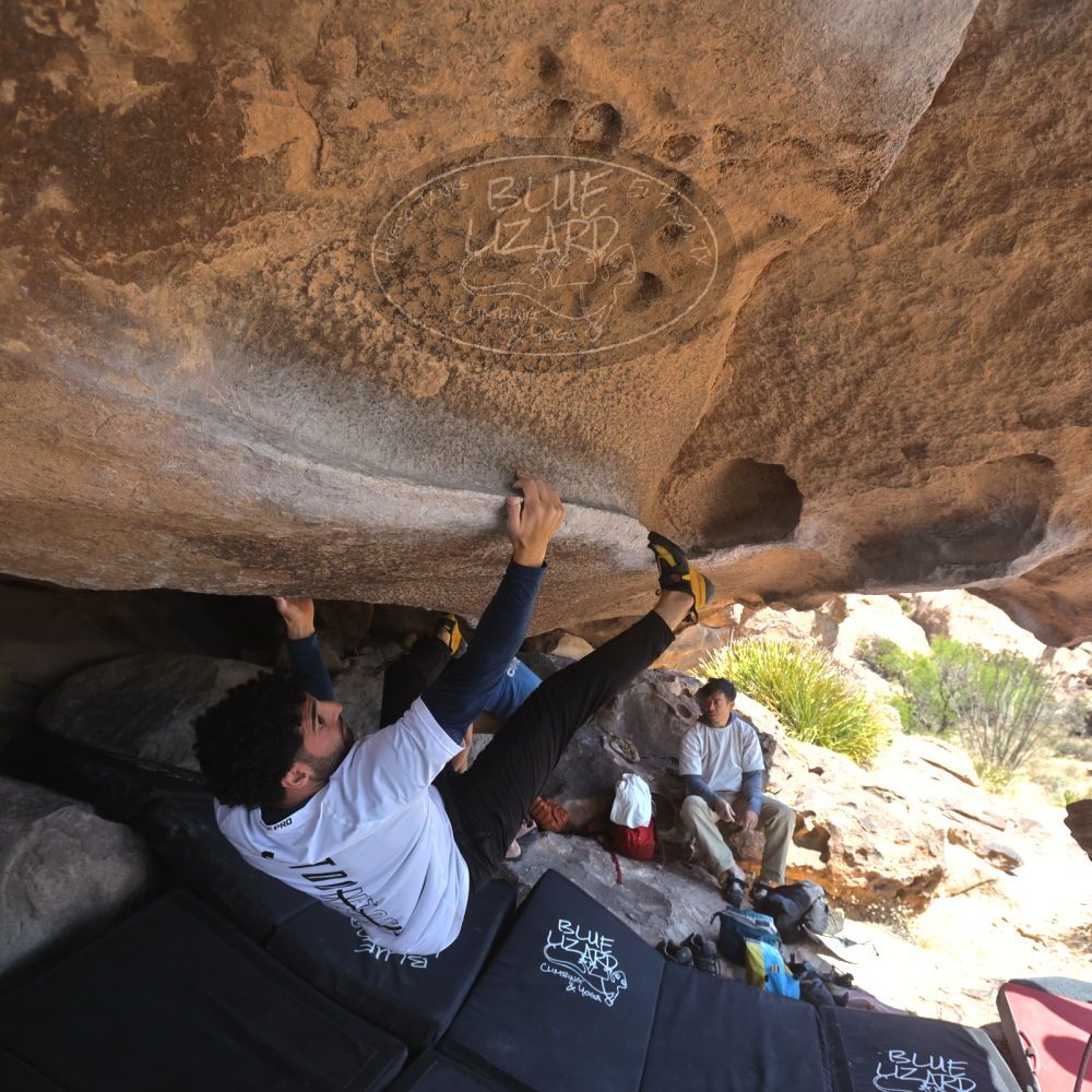 

Filename: SRM_20260328_1218570.jpg
Aperture: f/5.6
Shutter Speed: 1/640
Body: Canon EOS R6
Lens: Canon EF 16-35mm f/2.8 L