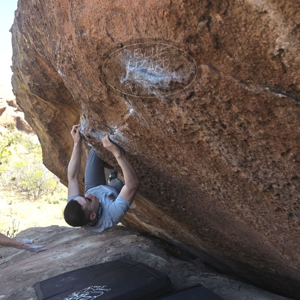 

Filename: SRM_20260328_1402570.jpg
Aperture: f/5.6
Shutter Speed: 1/640
Body: Canon EOS R6
Lens: Canon EF 16-35mm f/2.8 L