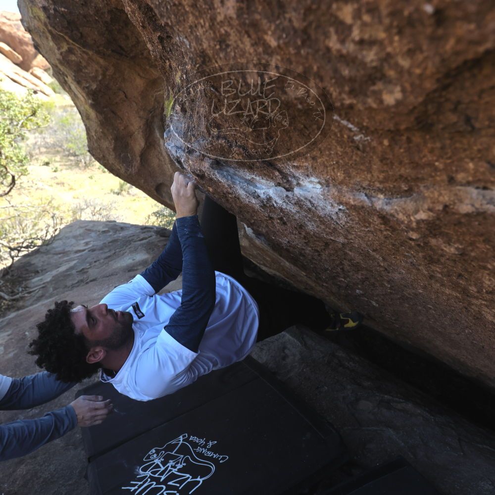 

Filename: SRM_20260328_1404260.jpg
Aperture: f/5.6
Shutter Speed: 1/640
Body: Canon EOS R6
Lens: Canon EF 16-35mm f/2.8 L