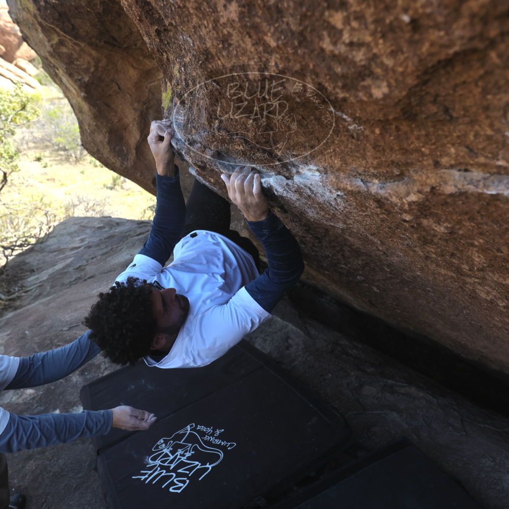 

Filename: SRM_20260328_1404300.jpg
Aperture: f/5.6
Shutter Speed: 1/640
Body: Canon EOS R6
Lens: Canon EF 16-35mm f/2.8 L