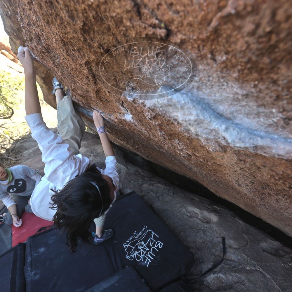 

Filename: SRM_20260328_1454430.jpg
Aperture: f/5.6
Shutter Speed: 1/640
Body: Canon EOS R6
Lens: Canon EF 16-35mm f/2.8 L