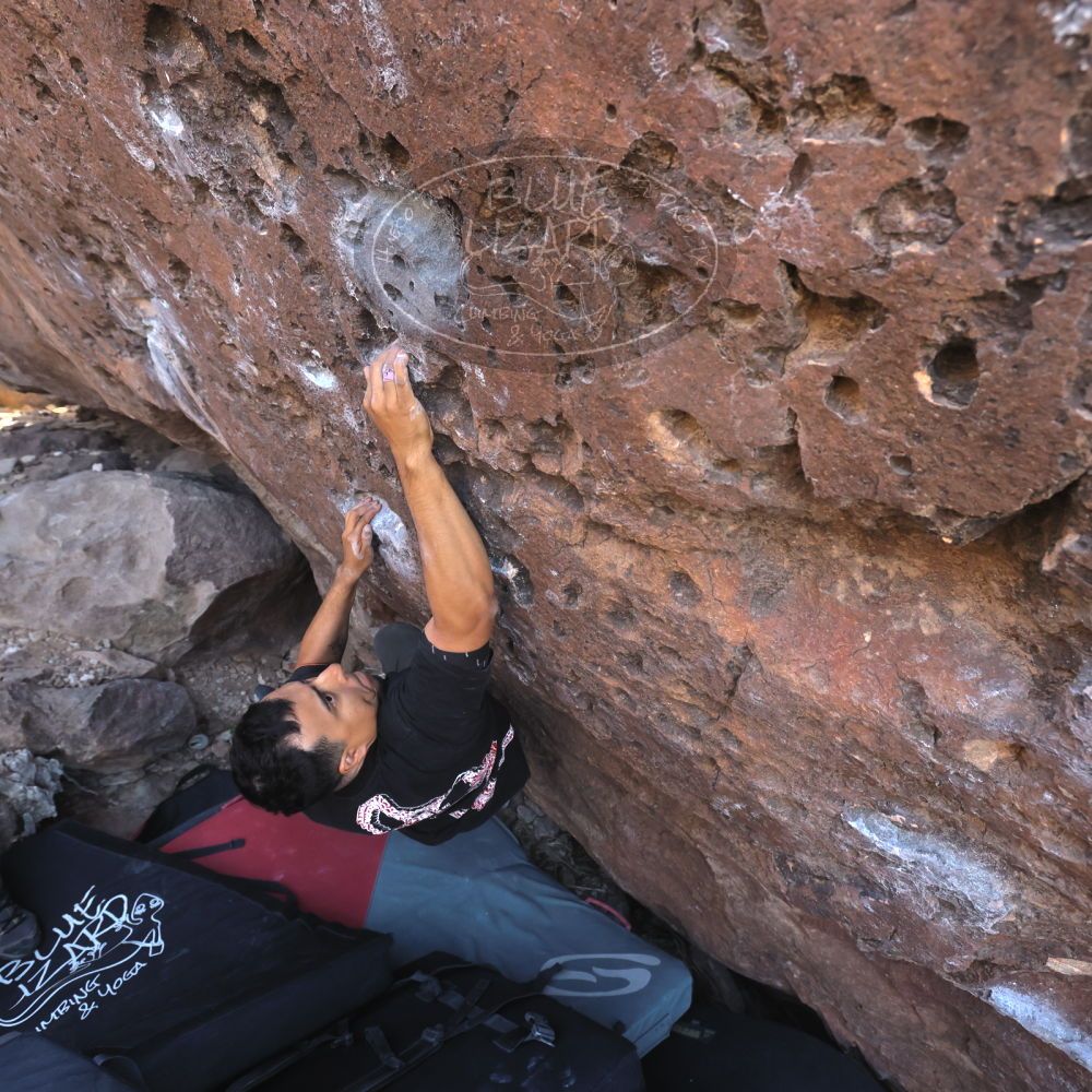 

Filename: SRM_20260329_0916570.jpg
Aperture: f/5.6
Shutter Speed: 1/640
Body: Canon EOS R6
Lens: Canon EF 16-35mm f/2.8 L