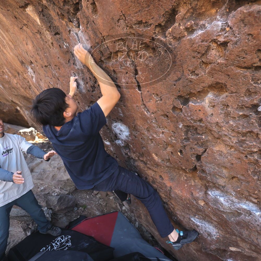 

Filename: SRM_20260329_0933560.jpg
Aperture: f/5.6
Shutter Speed: 1/500
Body: Canon EOS R6
Lens: Canon EF 16-35mm f/2.8 L