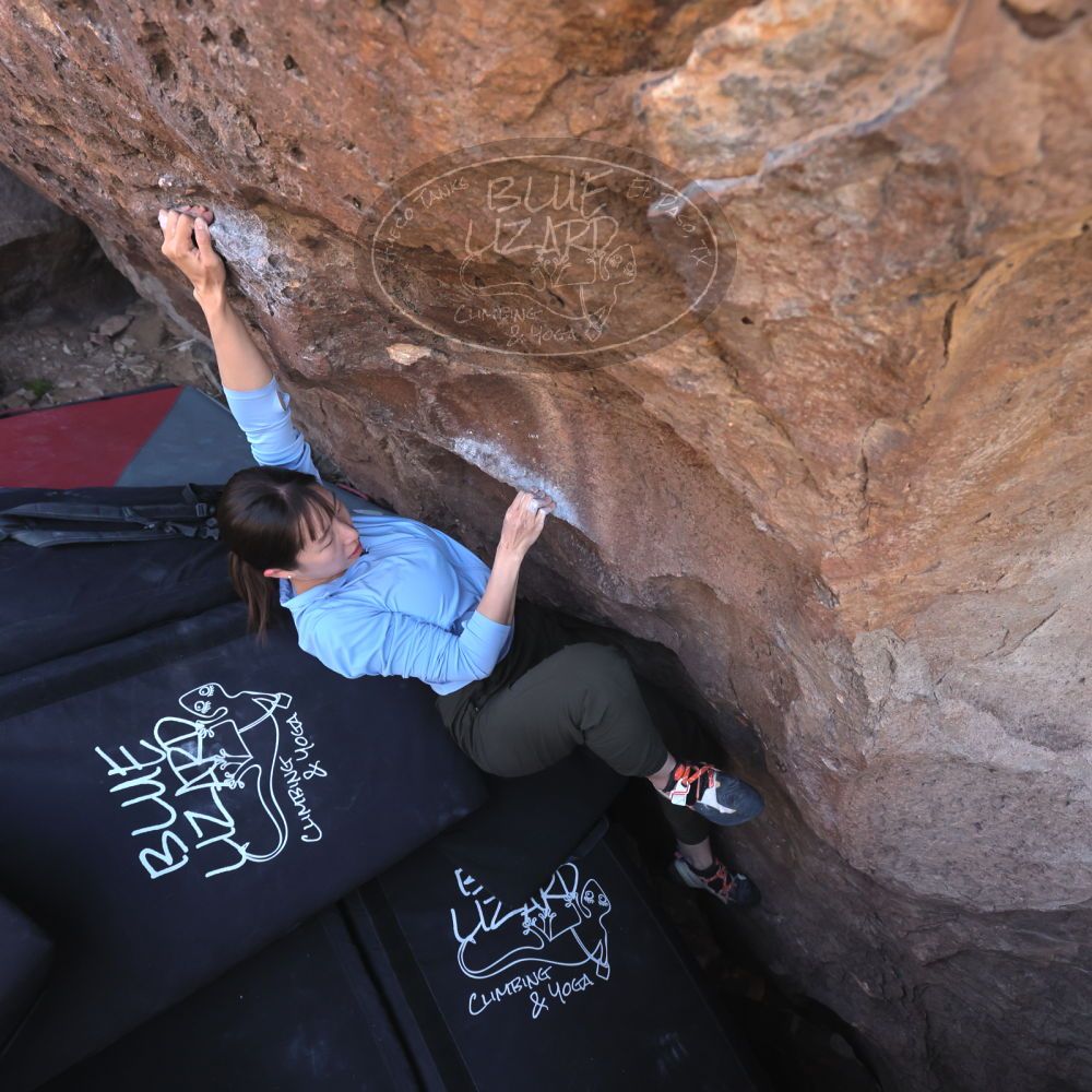 

Filename: SRM_20260329_1031320.jpg
Aperture: f/5.6
Shutter Speed: 1/500
Body: Canon EOS R6
Lens: Canon EF 16-35mm f/2.8 L