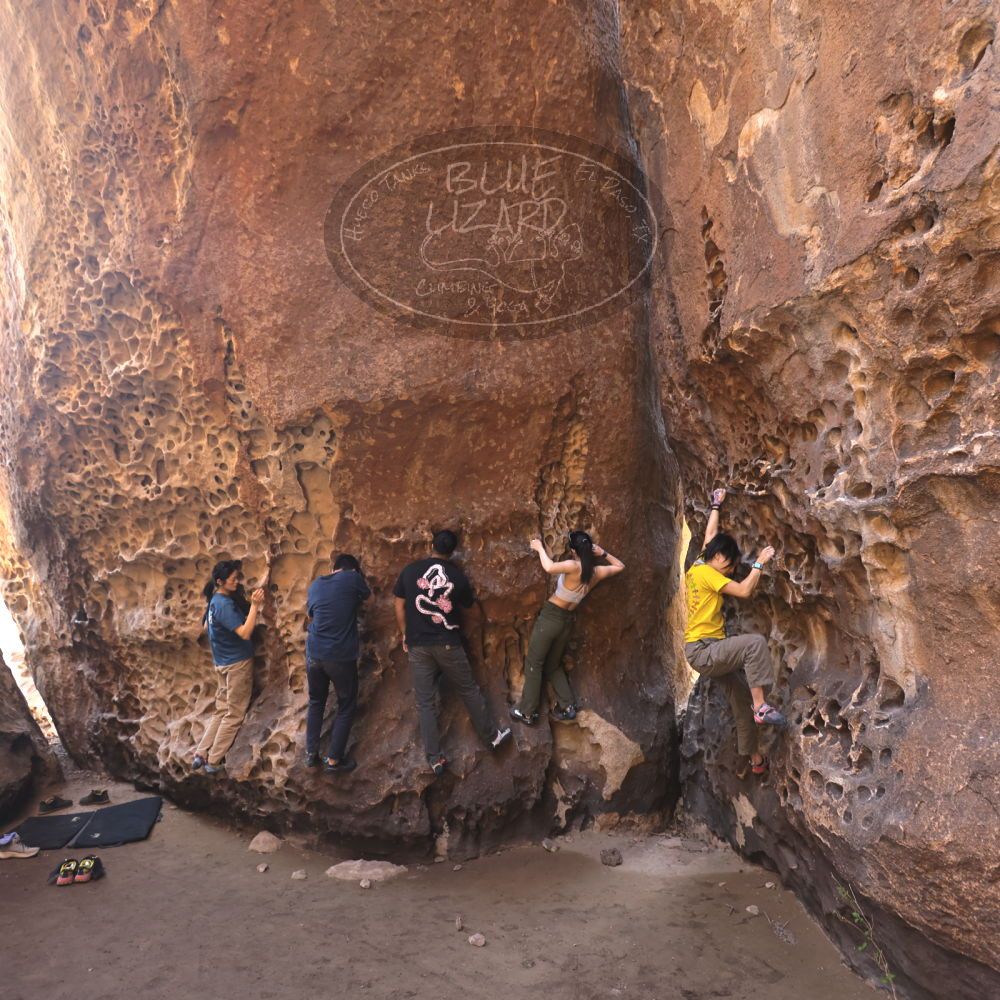 

Filename: SRM_20260329_1213510.jpg
Aperture: f/4.0
Shutter Speed: 1/160
Body: Canon EOS R6
Lens: Canon EF 16-35mm f/2.8 L