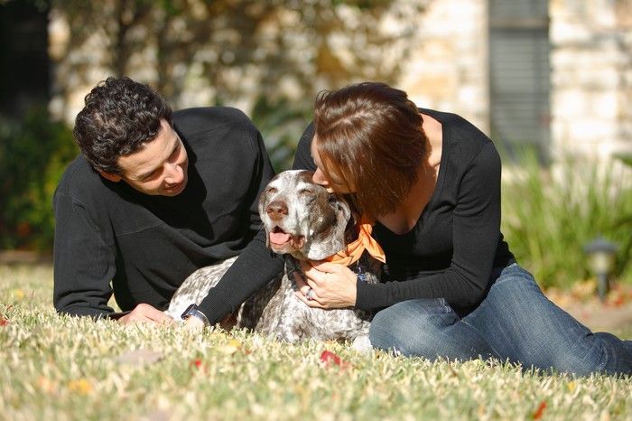Portraits of the Terranova family, including Meredith, Paul, Daisy, and Flyer.
Filename: SRM_20081207_14400275.jpg
Aperture: f/2.8
Shutter Speed: 1/640
Body: Canon EOS-1D Mark II
Lens: Canon EF 80-200mm f/2.8 L