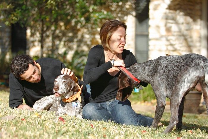 Portraits of the Terranova family, including Meredith, Paul, Daisy, and Flyer.
Filename: SRM_20081207_14403485.jpg
Aperture: f/2.8
Shutter Speed: 1/500
Body: Canon EOS-1D Mark II
Lens: Canon EF 80-200mm f/2.8 L