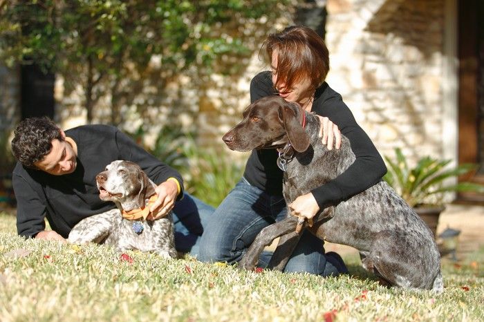 Portraits of the Terranova family, including Meredith, Paul, Daisy, and Flyer.
Filename: SRM_20081207_14403988.jpg
Aperture: f/2.8
Shutter Speed: 1/640
Body: Canon EOS-1D Mark II
Lens: Canon EF 80-200mm f/2.8 L