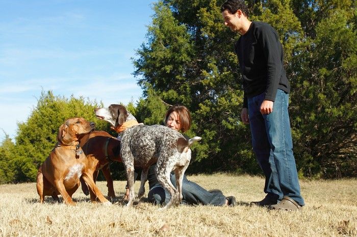 Portraits of the Terranova family, including Meredith, Paul, Daisy, and Flyer.
Filename: SRM_20081207_15041111.jpg
Aperture: f/5.6
Shutter Speed: 1/640
Body: Canon EOS-1D Mark II
Lens: Canon EF 16-35mm f/2.8 L