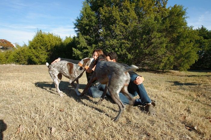 Portraits of the Terranova family, including Meredith, Paul, Daisy, and Flyer.
Filename: SRM_20081207_15053322.jpg
Aperture: f/8.0
Shutter Speed: 1/100
Body: Canon EOS-1D Mark II
Lens: Canon EF 16-35mm f/2.8 L