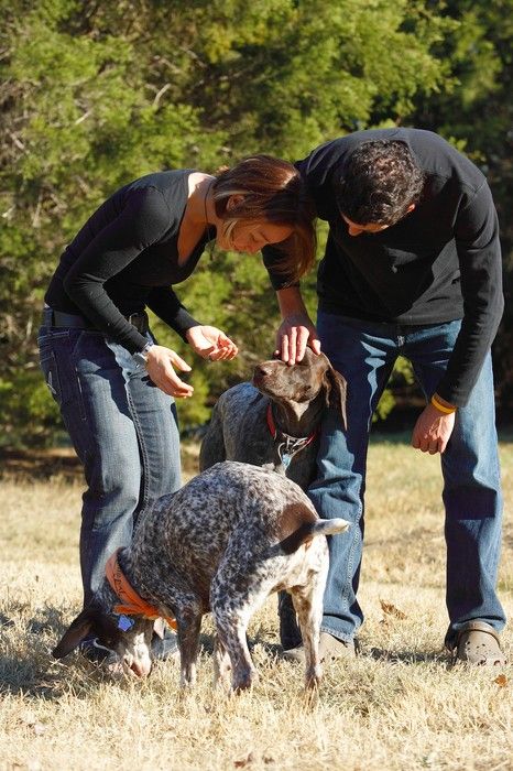 Portraits of the Terranova family, including Meredith, Paul, Daisy, and Flyer.
Filename: SRM_20081207_15111883.jpg
Aperture: f/5.6
Shutter Speed: 1/500
Body: Canon EOS-1D Mark II
Lens: Canon EF 80-200mm f/2.8 L