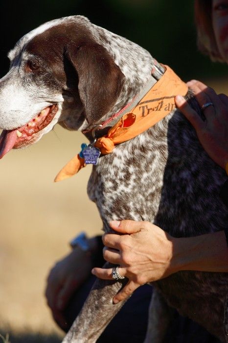 Portraits of the Terranova family, including Meredith, Paul, Daisy, and Flyer.
Filename: SRM_20081207_15185640.jpg
Aperture: f/2.8
Shutter Speed: 1/5000
Body: Canon EOS-1D Mark II
Lens: Canon EF 300mm f/2.8 L IS