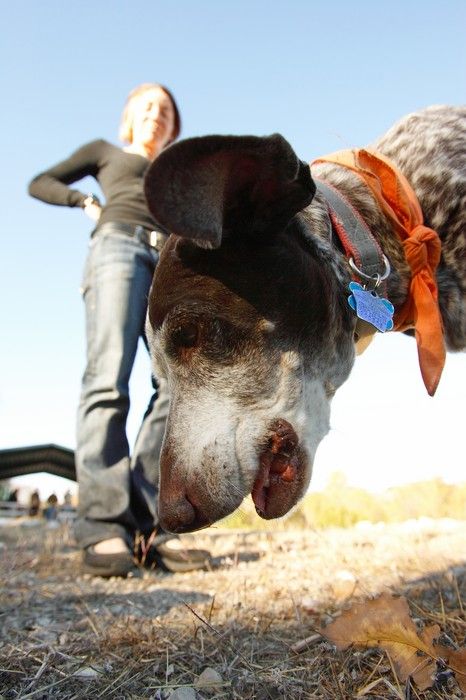 Portraits of the Terranova family, including Meredith, Paul, Daisy, and Flyer.

Filename: SRM_20081207_15270035.jpg
Aperture: f/5.6
Shutter Speed: 1/500
Body: Canon EOS-1D Mark II
Lens: Canon EF 16-35mm f/2.8 L