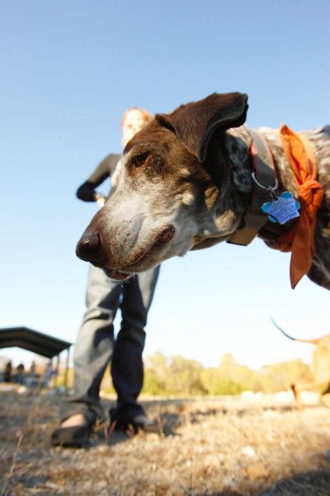 Portraits of the Terranova family, including Meredith, Paul, Daisy, and Flyer.
Filename: SRM_20081207_15270540.jpg
Aperture: f/5.6
Shutter Speed: 1/640
Body: Canon EOS-1D Mark II
Lens: Canon EF 16-35mm f/2.8 L