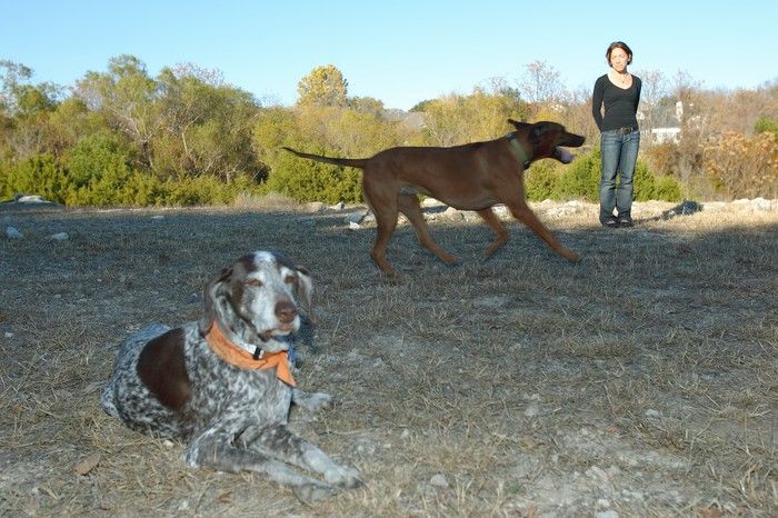 Portraits of the Terranova family, including Meredith, Paul, Daisy, and Flyer.
Filename: SRM_20081207_15460095.jpg
Aperture: f/5.6
Shutter Speed: 1/200
Body: Canon EOS-1D Mark II
Lens: Canon EF 16-35mm f/2.8 L