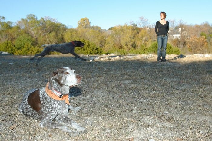 Portraits of the Terranova family, including Meredith, Paul, Daisy, and Flyer.
Filename: SRM_20081207_15463496.jpg
Aperture: f/5.6
Shutter Speed: 1/200
Body: Canon EOS-1D Mark II
Lens: Canon EF 16-35mm f/2.8 L