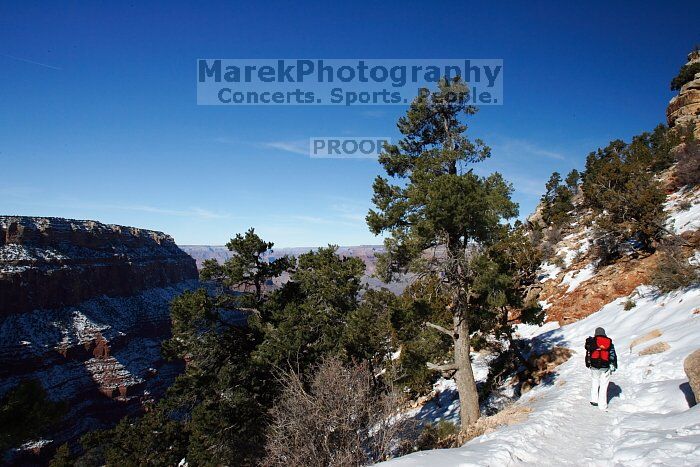 Beth Marek hiking down the South Kaibab trail, backpacking the Grand Canyon with Beth, Thursday, January 1, 2009.

Filename: SRM_20090101_12035565.jpg
Aperture: f/16.0
Shutter Speed: 1/160
Body: Canon EOS-1D Mark II
Lens: Canon EF 16-35mm f/2.8 L