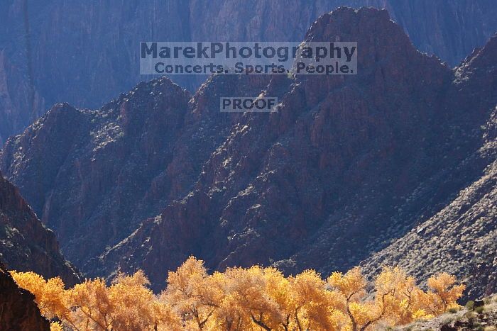 Hike to the Phantom Ranch overlook, while backpacking the Grand Canyon with Beth, Friday, January 2, 2009.

Filename: SRM_20090102_13242925.JPG
Aperture: f/8.0
Shutter Speed: 1/500
Body: Canon EOS-1D Mark II
Lens: Canon EF 100-400mm f/4.5-5.6 L IS USM w/ 1.4x II TC