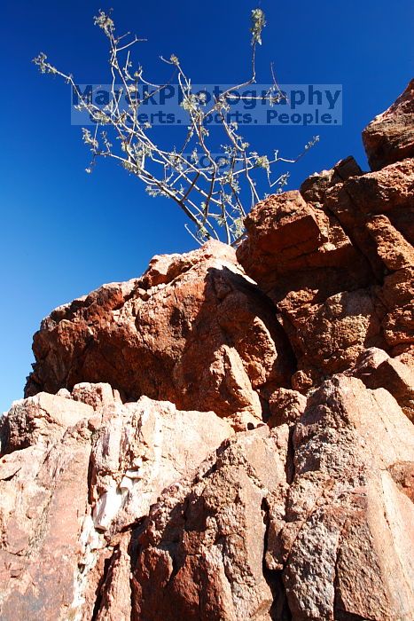 Hike to the Phantom Ranch overlook, while backpacking the Grand Canyon with Beth, Friday, January 2, 2009.
Filename: SRM_20090102_14030549.JPG
Aperture: f/16.0
Shutter Speed: 1/15
Body: Canon EOS-1D Mark II
Lens: Canon EF 16-35mm f/2.8 L
